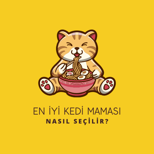 En İyi Kedi Maması Nasıl Seçilir?