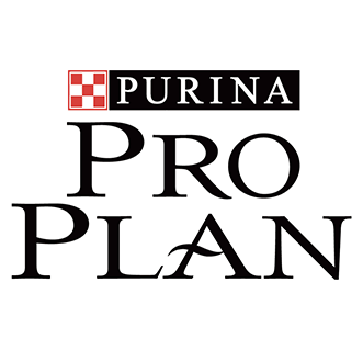 Pro Plan
