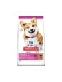 Hill's Adult Small Mini Kuzu Etli Pirinçli Küçük Irk 1.5 kg Yetişkin Köpek Maması