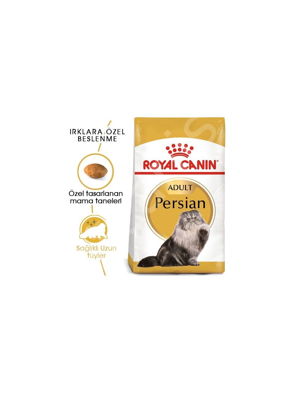 Royal Canin Adult Persian İran Kedilerine Özel 2 kg Yetişkin Kuru Kedi Maması