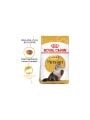 Royal Canin Adult Persian İran Kedilerine Özel 2 kg Yetişkin Kuru Kedi Maması