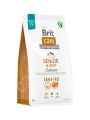 Brit Care Senior Light Tahılsız Somonlu 3 kg Yaşlı Köpek Maması