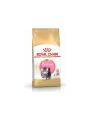 Royal Canin Kitten Persian İran Kedilerine Özel 2 kg Yavru Kuru Kedi Maması