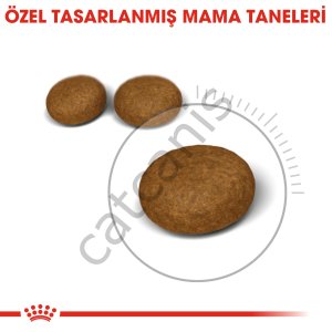 Royal Canin Hair And Skin Care Kuru Kedi Maması 2 kg