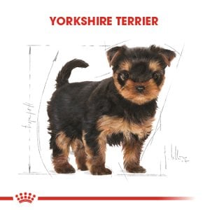 Royal Canin Yorkshire Terrier Yavru Köpek Maması 1.5Kg