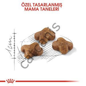 ROYAL CANIN KITTEN 10 KG
