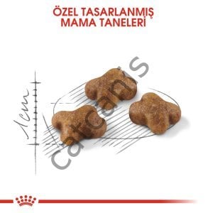 ROYAL CANIN KITTEN 10 KG