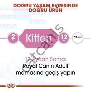 ROYAL CANIN KITTEN 10 KG