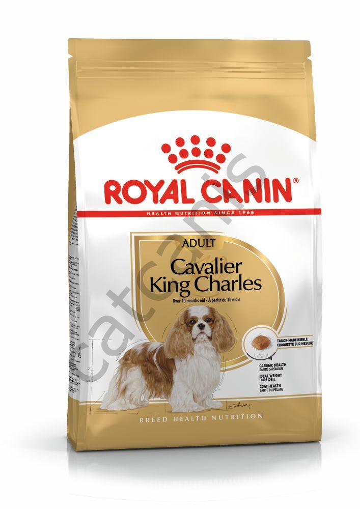 Royal Canin Bhn Cavalier King Charles Irka Özel Yetişkin Köpek Maması 1,5 Kg