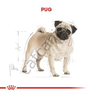 Royal Canin Bhn Pug Adult Irka Özel Yetişkin Köpek Maması 1,5 Kg