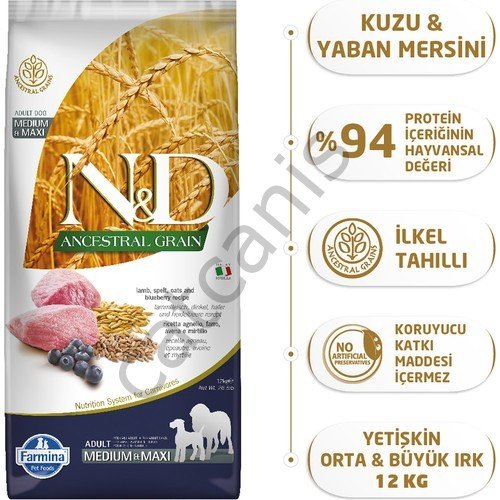 N&D Düşük Tahıllı Kuzu Etli ve Yaban Mersinli 12 kg Orta/Büyük Irk Yetişkin Kuru Köpek Maması