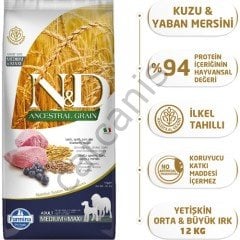 N&D Düşük Tahıllı Kuzu Etli ve Yaban Mersinli 12 kg Orta/Büyük Irk Yetişkin Kuru Köpek Maması