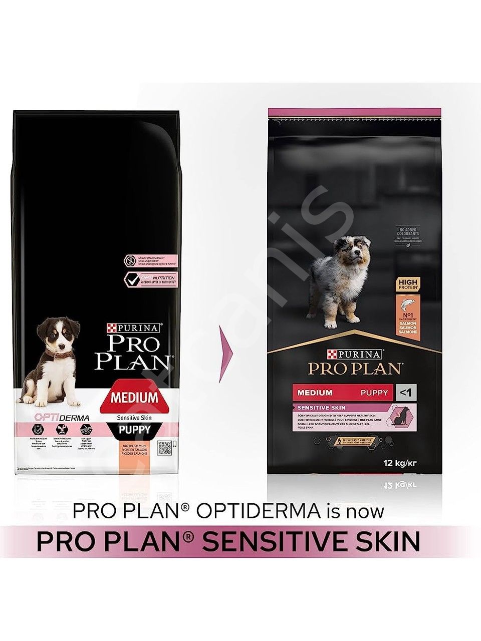 PRO PLAN® Medium Puppy Somonlu Köpek Maması 12 Kg