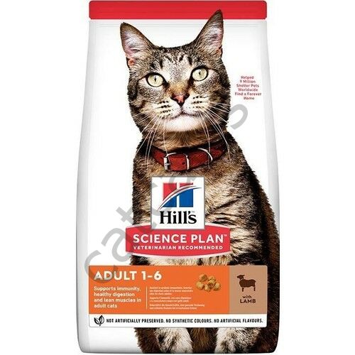 Hills Optimal Care Kuzu Etli Yetişkin Kedi Maması 10 kg
