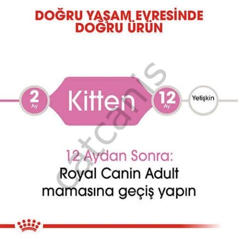 Royal Canin Fhn Kitten 36 Yavru Kedi Maması 4 Kg