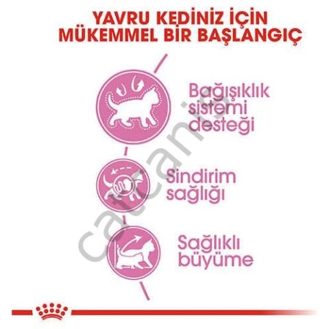 Royal Canin Fhn Kitten 36 Yavru Kedi Maması 4 Kg