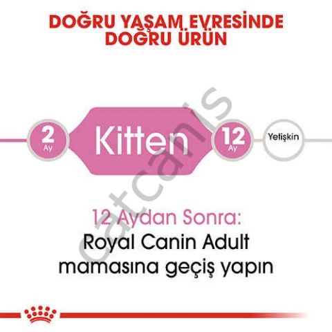 Royal Canin 36 Kitten Yavru Kuru Kedi Maması 2 kg