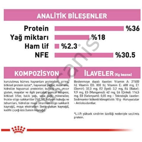 Royal Canin 36 Kitten Yavru Kuru Kedi Maması 2 kg