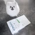 Nature's Protection Superior Care White Dogs Beyaz Balıklı 10 kg Küçük ve Mini Irk Yetişkin Köpek Maması