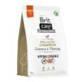 Brit Care Dog Chow Champion Somonlu ve Ringalı 3 kg Yetişkin Köpek Maması