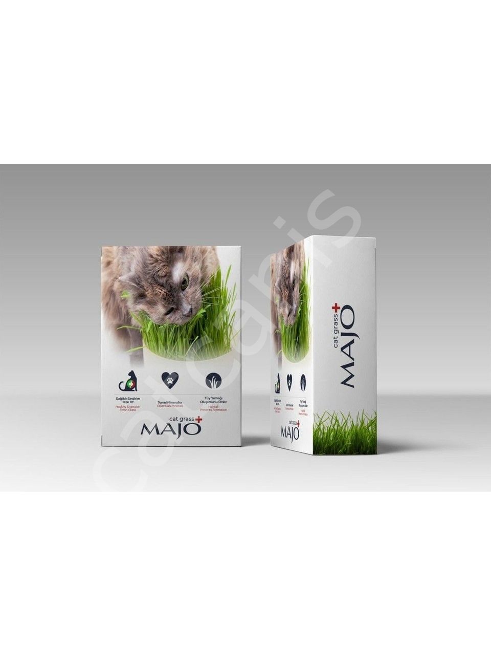 Nunbell Majo Cat Grass Kedi Çimi